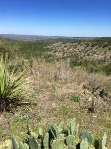 FullSizeRender (107) - Copy