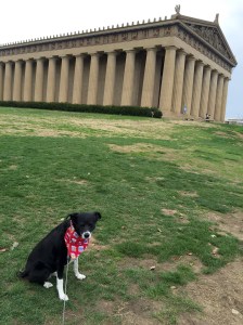 FullSizeRender (11) - Copy