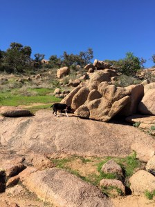 FullSizeRender (121) - Copy