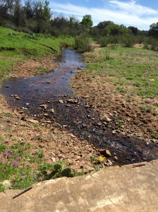 FullSizeRender (125) - Copy