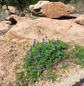 FullSizeRender (126) - Copy