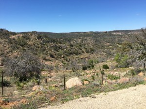 FullSizeRender (127) - Copy