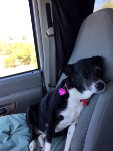 FullSizeRender (132) - Copy