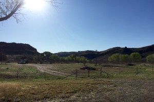 FullSizeRender (137) - Copy