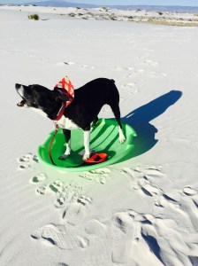 FullSizeRender (146) - Copy