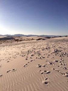 FullSizeRender (147) - Copy