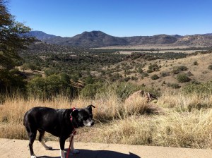 FullSizeRender (151) - Copy