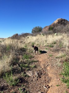 FullSizeRender (152) - Copy