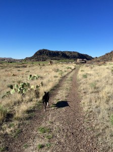 FullSizeRender (154) - Copy