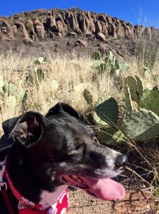 FullSizeRender (155) - Copy