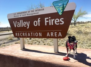 FullSizeRender (160) - Copy