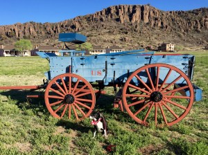 FullSizeRender (163) - Copy