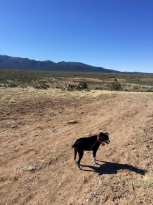 FullSizeRender (185) - Copy