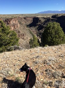 FullSizeRender (186) - Copy