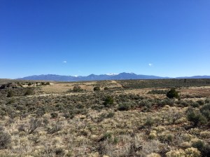 FullSizeRender (187) - Copy