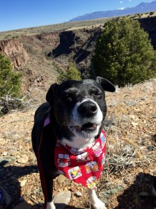 FullSizeRender (188) - Copy