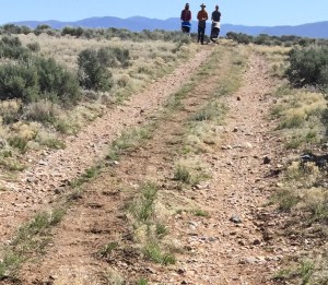 FullSizeRender (198) - Copy