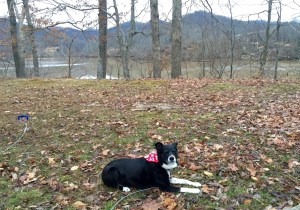 FullSizeRender (3) - Copy