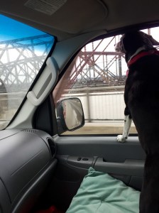 FullSizeRender (67) - Copy