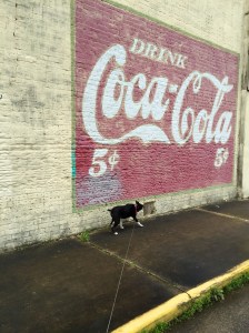 FullSizeRender (71) - Copy