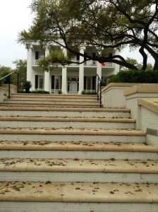 FullSizeRender (80) - Copy