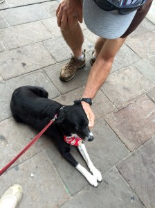 FullSizeRender (87) - Copy