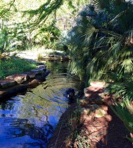 FullSizeRender (90) - Copy