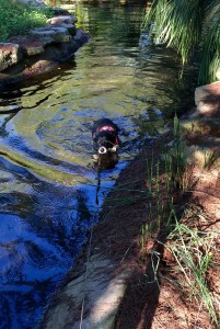 FullSizeRender (93) - Copy