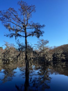 FullSizeRender (95) - Copy