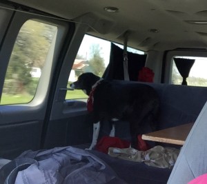 FullSizeRender (98) - Copy