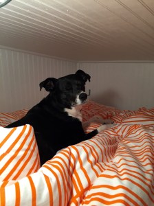 FullSizeRender - Copy (18)