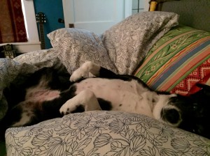 FullSizeRender - Copy (24)