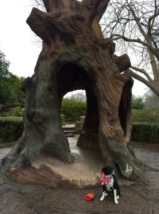 FullSizeRender - Copy (35)