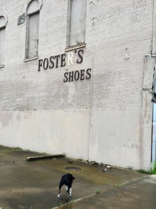 FullSizeRender - Copy (36)