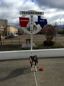 FullSizeRender - Copy (37)