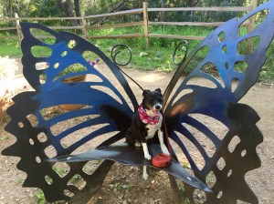 FullSizeRender - Copy (45)