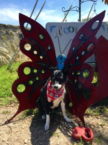 FullSizeRender - Copy (49)