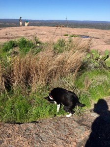 FullSizeRender - Copy (53)