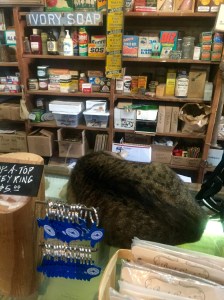 FullSizeRender - Copy (56)