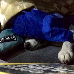 FullSizeRender - Copy (6)