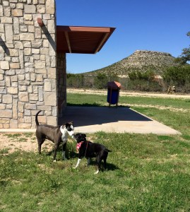 FullSizeRender - Copy (60)