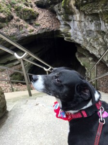 You went down into THAT Mom??