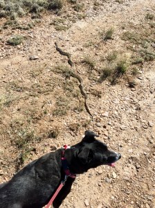 FullSizeRender - Copy (81)