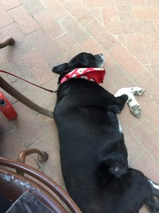 FullSizeRender (205) - Copy