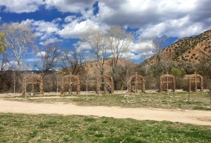 FullSizeRender (209) - Copy