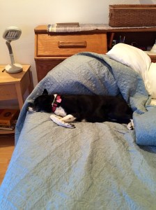 FullSizeRender (226) - Copy