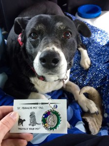 FullSizeRender (230) - Copy