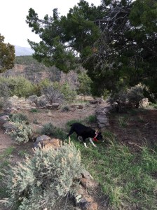 FullSizeRender (237) - Copy