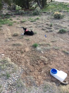 FullSizeRender (238) - Copy