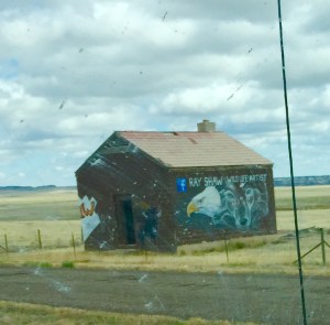 FullSizeRender (256) - Copy